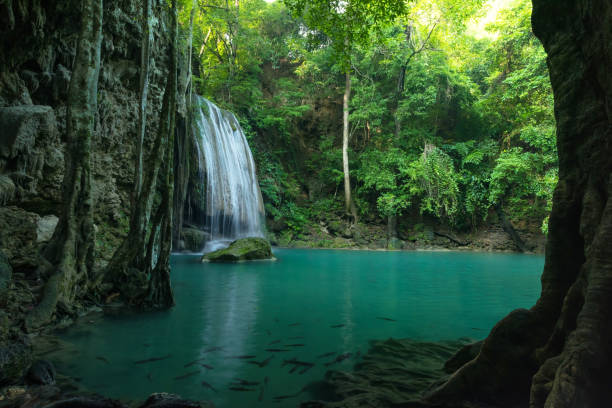 istock Beautiful and Breathtaking green waterfall, Erawan's waterfall 640190472