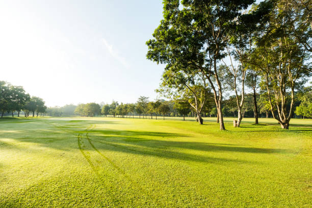 istock Beautiful green golf  and meadow at the park 640193482