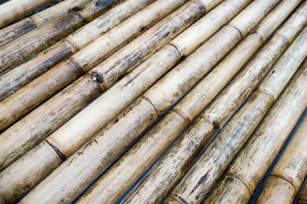 istock sturdy bamboo wood, a raft made of , background 640195208