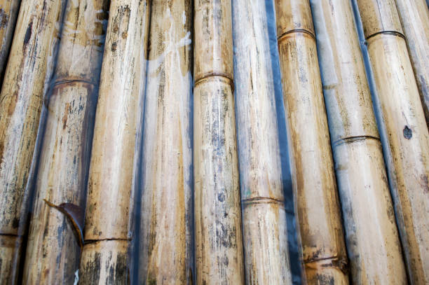 sturdy bamboo wood, a raft made of bamboo, background , Part of houseboat raft made from bamboo floating on the water over the dam.