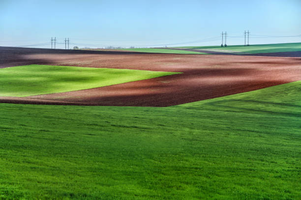 landscape of green fields stock photo