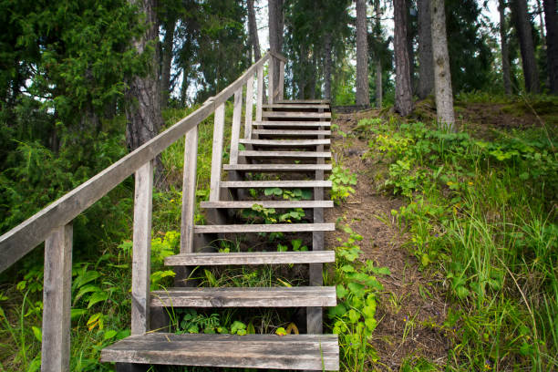 istock Old wooden ladder in the park 640197428