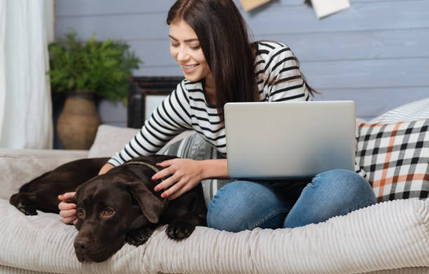istock Joyful elegant woman petting her cute Labrador 640199036