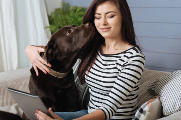 istock Joyful creative girl having fun with her pet 640199626