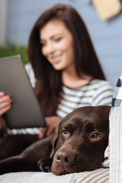 istock Two friends relaxing on a cozy sofa 640199900