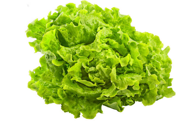 istock Fresh green iceberg salad isolated on white background 640200948