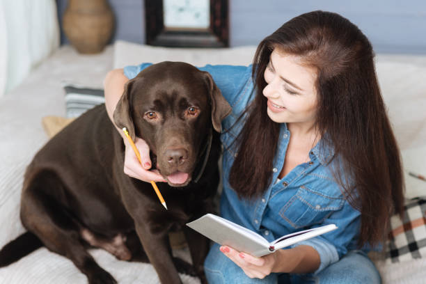 istock Adorable brown Labrador helping writing a list 640202116