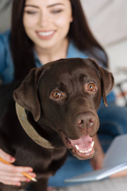 istock Mistress and her pet doing a photoshoot together 640202554