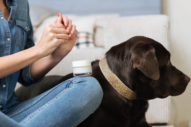 istock Gorgeous tender woman testing new hand cream 640204378