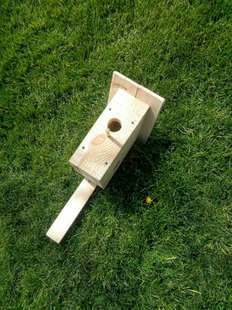 istock Wooden hand made birdhouse 640204434