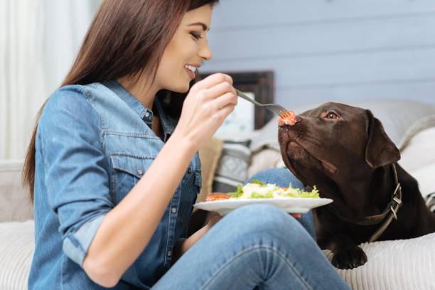 istock Funny pretty girl teasing her dog 640205220