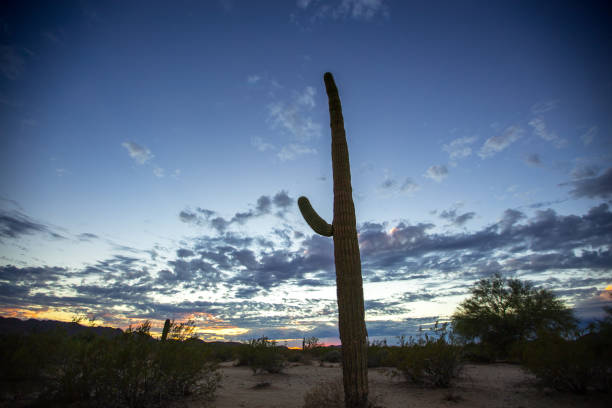 istock Dusk in American Desert 640207210