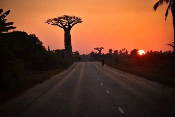 The road to Morandava, Madagascar