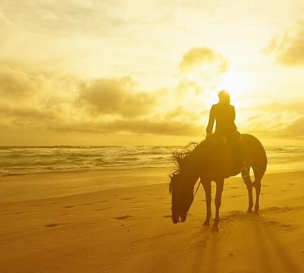 A tired horse and its woman rider stop for a breather on a beautiful, deserted beach at the golden sunset hour. Ample copy space.
