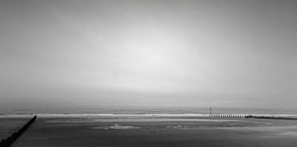 istock Beach near St Mary's lighthouse 640212074