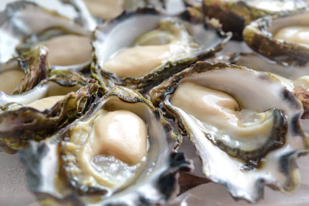 istock Sydney Rock Oyster 640212194