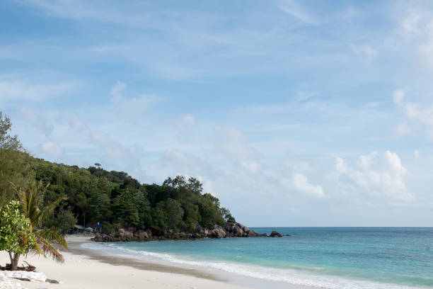 istock beach and tropical sea 640212426
