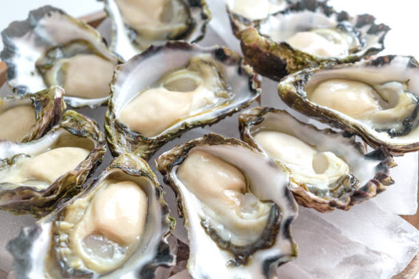 istock Sydney Rock Oyster 640212656