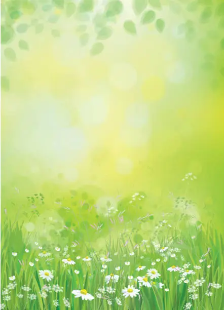 Vector illustration of Vector nature background.