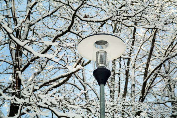 istock Lamp in the park 640213750
