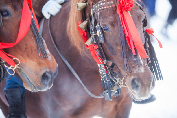 istock Horses and red ribbons 640214614