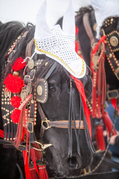 istock Horse and red ribbons 640214990