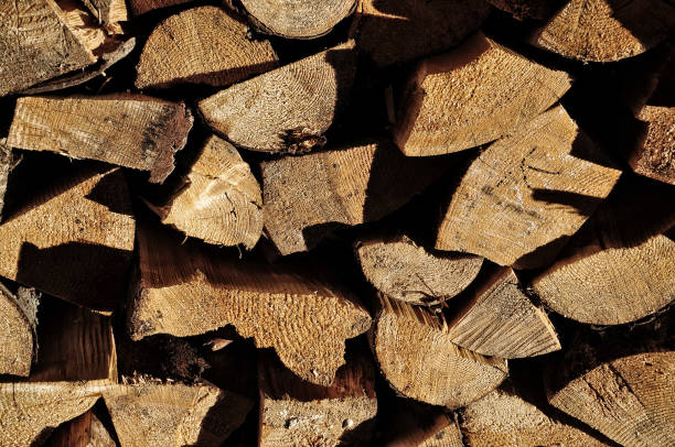 istock Chopped firewood stacked for winter 640215062