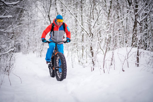 istock Male bicycle rider in the forest 640215910