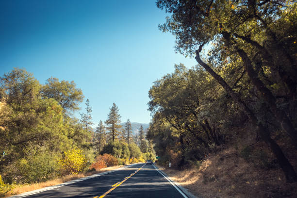 istock Yosemite National Park, USA 640225758