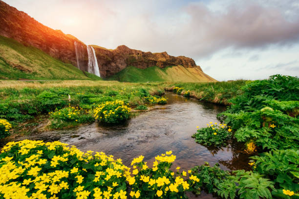 istock Seljalandfoss waterfall. Beautiful summer sunny day. Iceland. 640226668