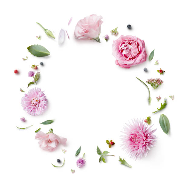 istock postcard with flowers 640226988