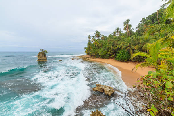 istock Idyllic beach Manzanillo Costa Rica 640227190