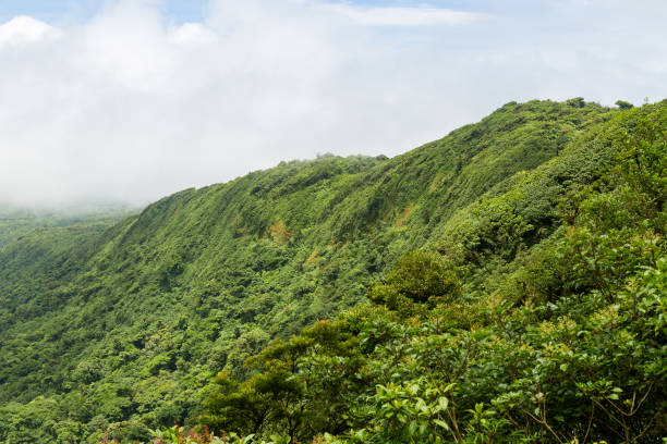 istock Rainforest landscape in Monteverde Costa Rica 640228236