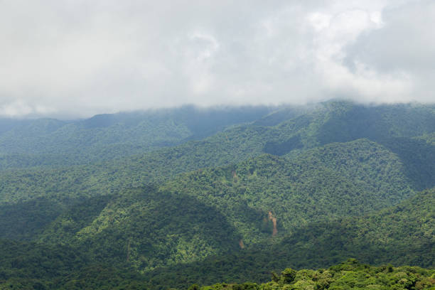 istock Rainforest landscape in Monteverde Costa Rica 640228310