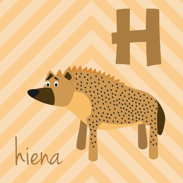 Cartoon Zoo Alphabet With Animals Spanish Name H For Hiena Stock  Illustration - Download Image Now - iStock