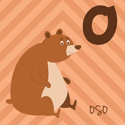 Cartoon Zoo Alphabet With Animals Spanish Name O For Oso Stock Illustration  - Download Image Now - iStock