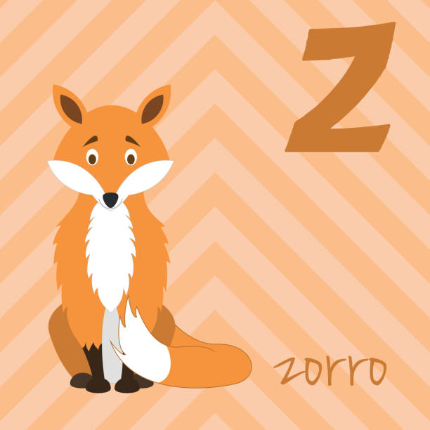 Cartoon Zoo Alphabet With Animals Spanish Name Z For Zorro Stock  Illustration - Download Image Now - iStock