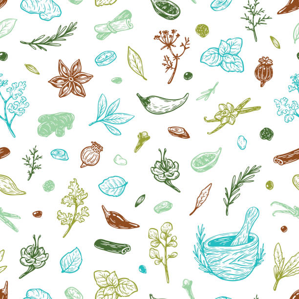 illustrations, cliparts, dessins animés et icônes de épices &herbes, motif. - anise seed fennel backgrounds