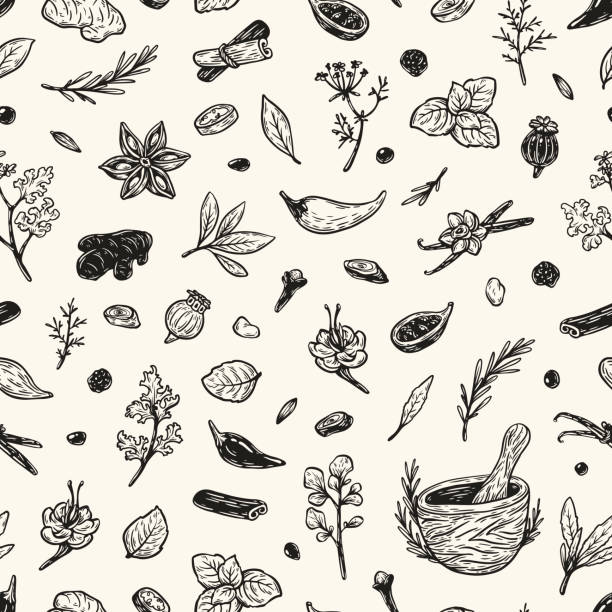 illustrations, cliparts, dessins animés et icônes de épices &herbes, motif. - anise seed fennel backgrounds