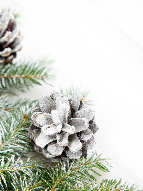 istock Christmas background with decoration with cones and twigs 640237288