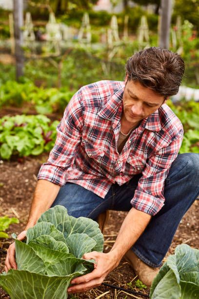istock They're grown bigger every season 640240282