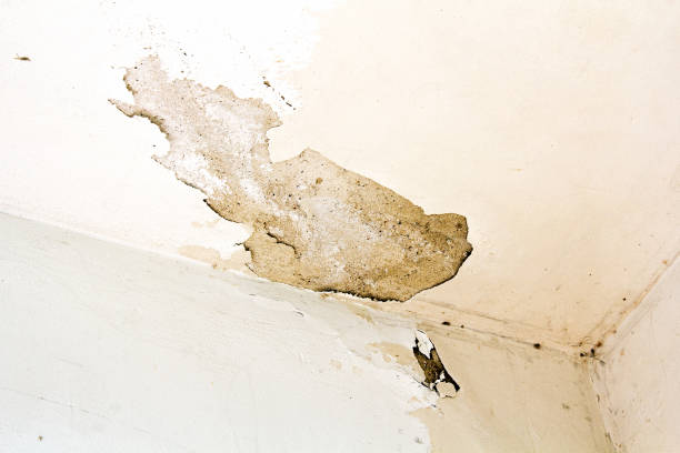 istock closeup of a cracked wall 640240344