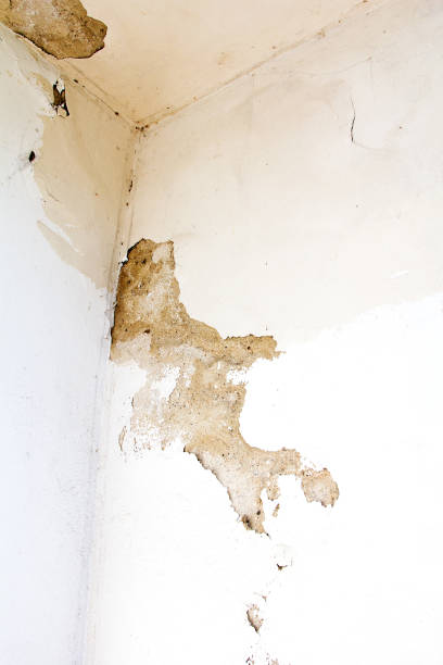 istock closeup of a cracked wall 640240382