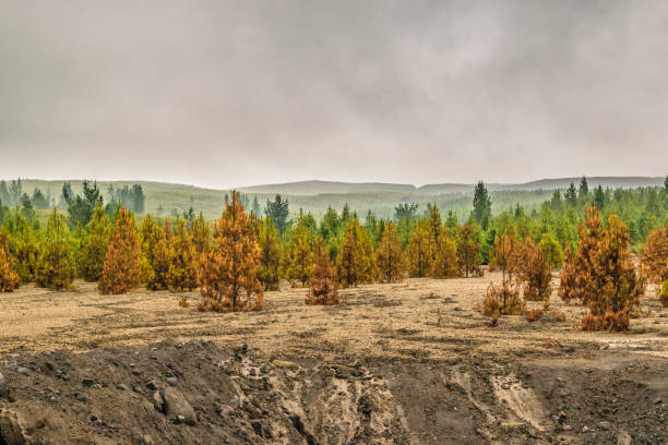 istock Cotopaxi National Park Landscape Scene 640240604