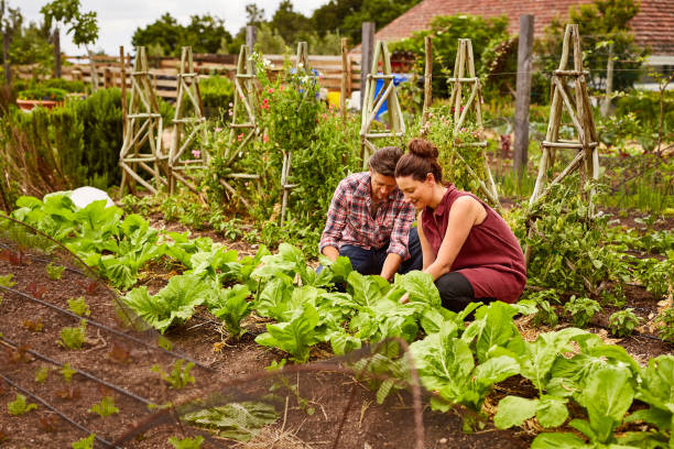 istock They love getting their hands in the dirt 640240626
