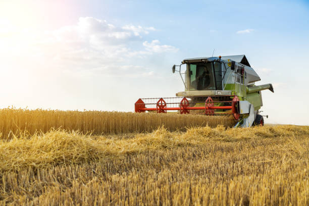 istock Combine harvester in action on wheat field. 640241000