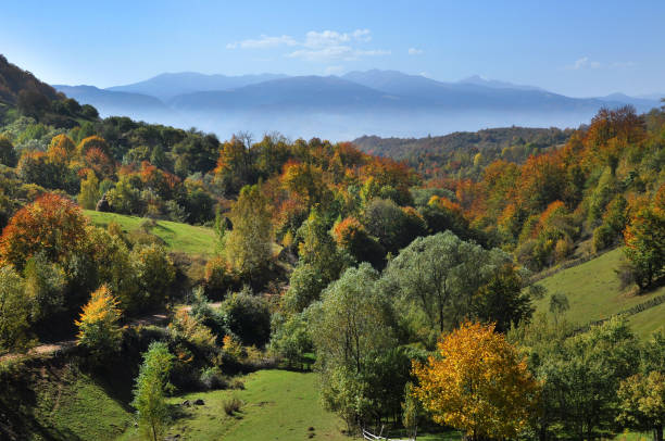 istock Mountain autumn landscape with colorful forest 640241302