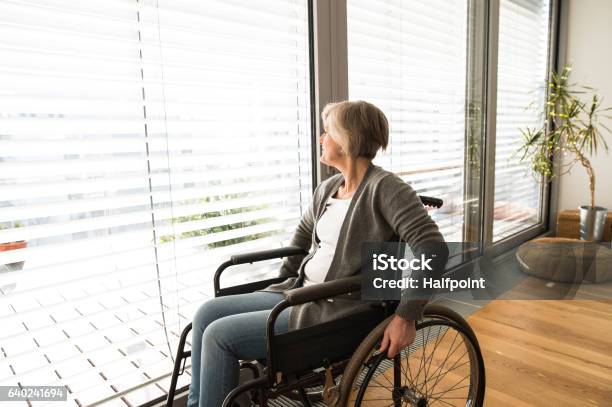 Mujer Mayor Discapacitada En Silla De Ruedas En Casa En La Sala De Estar Foto de stock y más banco de imágenes de Silla de ruedas