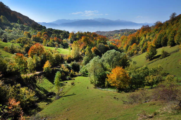 istock Mountain autumn landscape with colorful forest 640242980