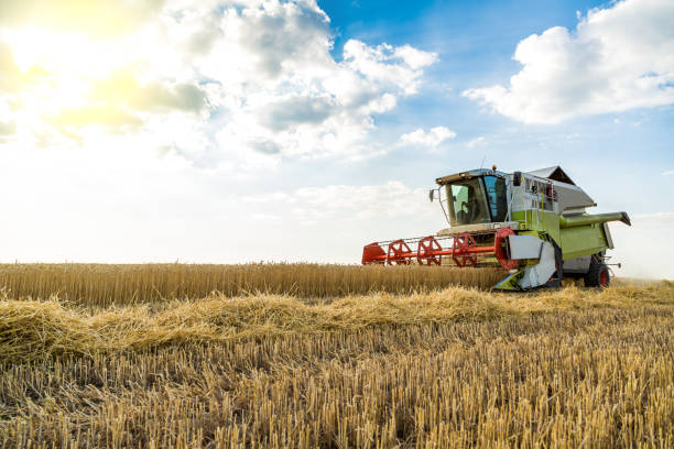 istock Combine harvester in action on wheat field. 640244062